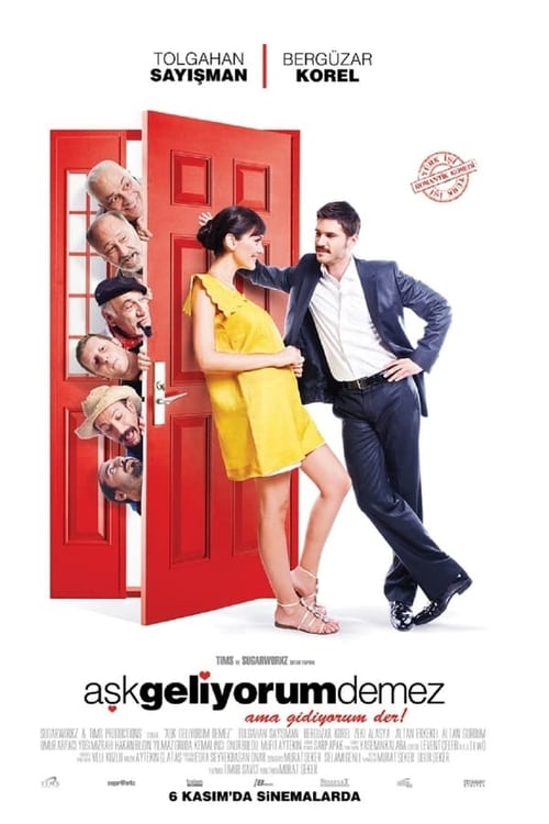 Aşk Geliyorum Demez (2009)