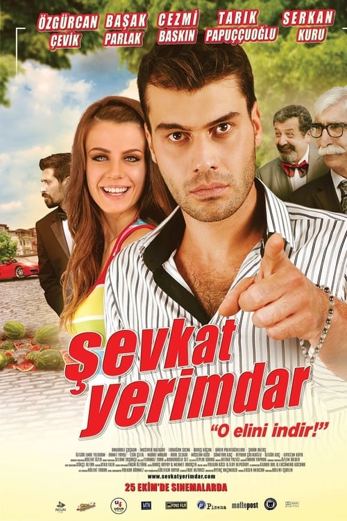 Şevkat Yerimdar (2013)