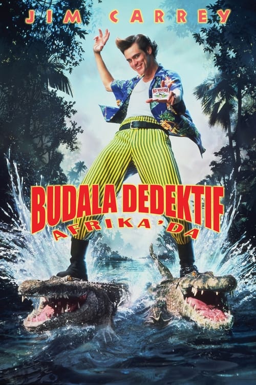 Budala Dedektif Afrika’da (1995)