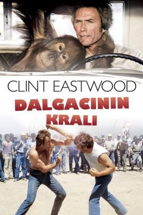 Dalgacının Kralı (1978)