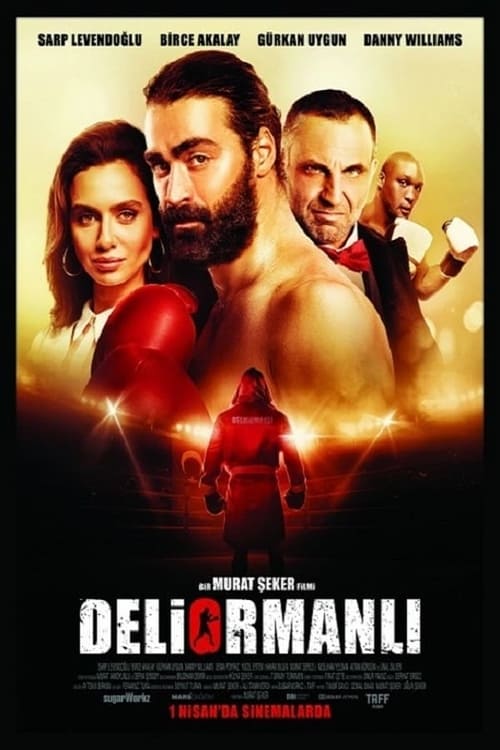 Deliormanlı (2016)