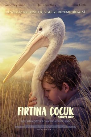 Fırtına Çocuk (2019)