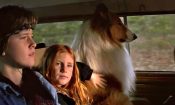 Lassie (1994)