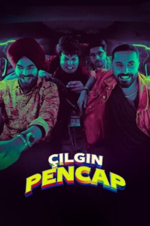 Çılgın Pencap (2024)