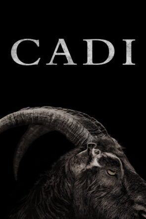 Cadı (2016)