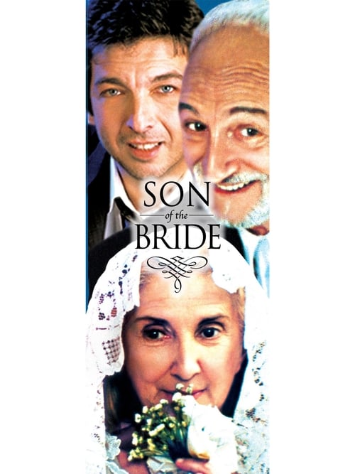 Son of the Bride (2001)